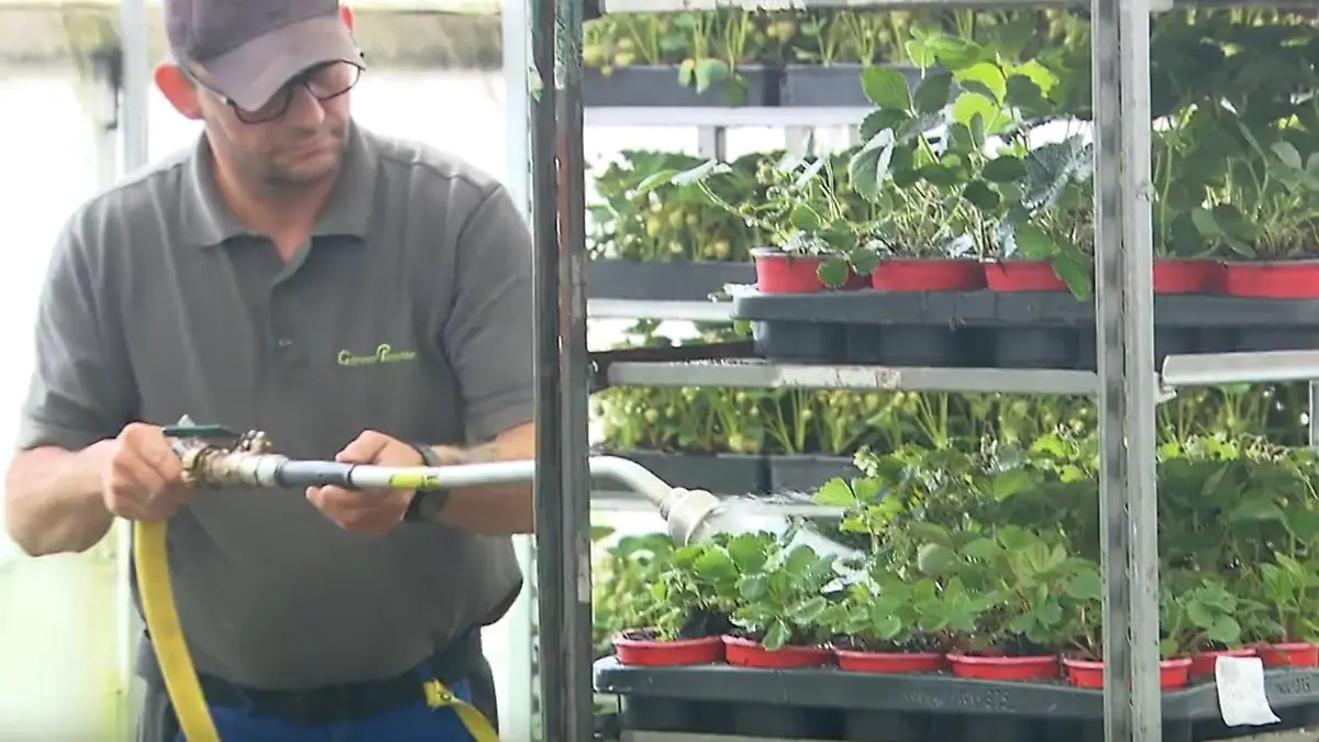 gärtner pötschke todesfall